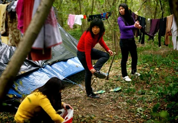 Dưới những cánh rừng Calais ảnh 1 Dưới những cánh rừng Calais ảnh 1