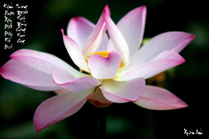 Giã từ dĩ vãng Thành “trọc” ảnh 4