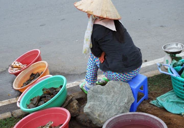 Dây trói cua và mối lo về đạo đức kinh doanh ảnh 1