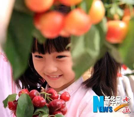 Cận cảnh sao nhí Hoa ngữ có giá ăn tối 11.000 USD ảnh 3