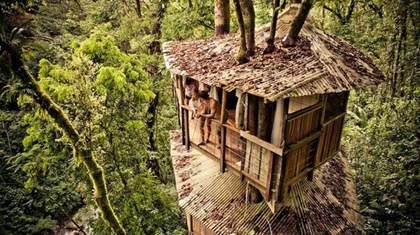 Ngôi làng trên cây ảnh 1