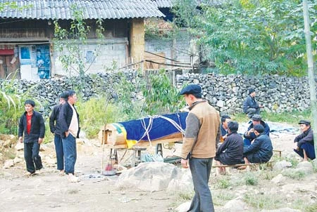 Đưa Vua Mèo về núi ảnh 2