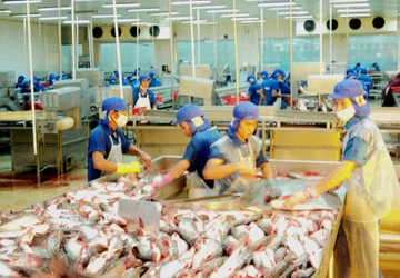 Một công ty sẽ “bơm” tiền cho Bình An ảnh 1