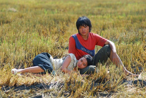 'Cánh đồng bất tận' thu 9,2 tỷ đồng sau 12 ngày ra rạp ảnh 1