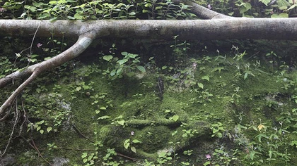 Phát hiện thành phố 1.200 năm tuổi ở Campuchia ảnh 2