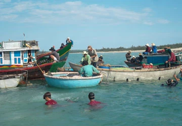 Phát hiện thêm tàu chứa cổ vật ảnh 1