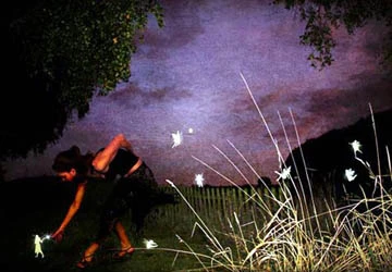 Giải mã bí ẩn của những giấc mơ ảnh 4