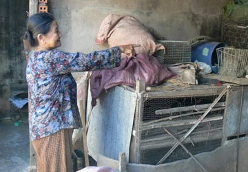 “Giặc khỉ” trả thù ảnh 3 “Giặc khỉ” trả thù ảnh 3