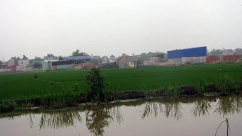 Cả xóm nghèo bàng hoàng ngày trở thành... tỷ phú ảnh 3