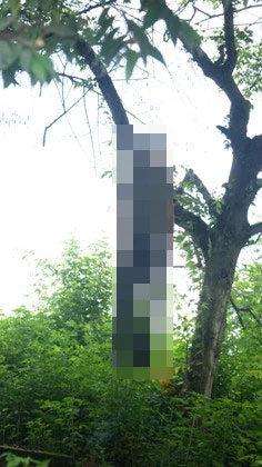 Kinh hoàng phát hiện xác chết treo cổ trên cây ảnh 1