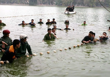 Lưới rách, rùa Hồ Gươm chưa thể lên bờ ảnh 1 Lưới rách, rùa Hồ Gươm chưa thể lên bờ ảnh 1