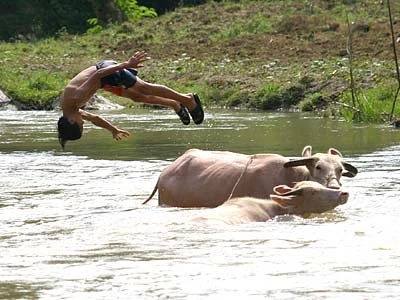"Con ghét về quê vì bẩn và chán..." ảnh 1