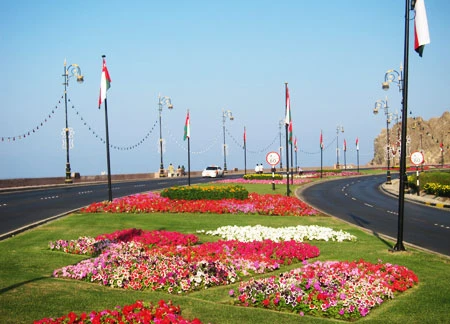 Muscat chăm chút giữ gìn bản sắc ảnh 5