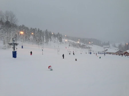 Vẻ đẹp quyến rũ của làng quê Thụy Điển mùa Giáng sinh ảnh 6