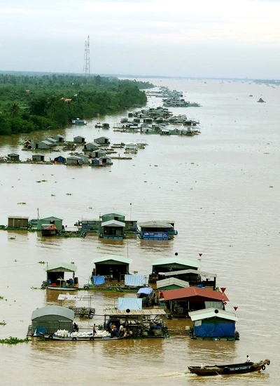 “Đại gia” làng cá bè Mỹ Tho ảnh 2