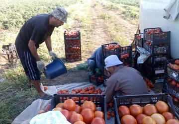 Mặt trái lao động Việt ở Nga: Những xưởng may “đen” ảnh 1