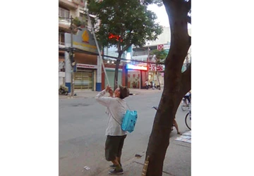 Giết chim bằng ống thổi ảnh 1