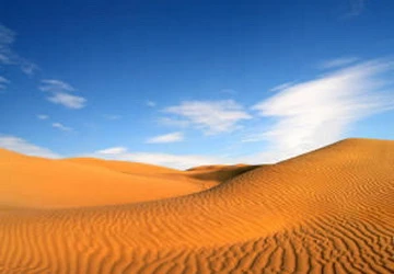 Trồng cây ở sa mạc giúp giảm nhẹ biến đổi khí hậu ảnh 1