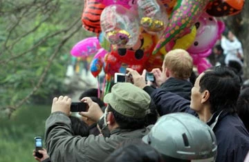 Háo hức xem cụ rùa Hồ Gươm nổi đầu năm ảnh 6