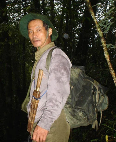 Tận mắt “cục vàng” mọc trên ngọn cây giữa đại ngàn ảnh 1