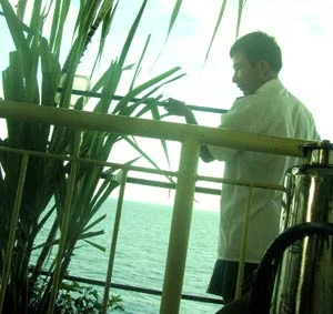 Những mảnh vườn treo giữa trùng khơi ảnh 3