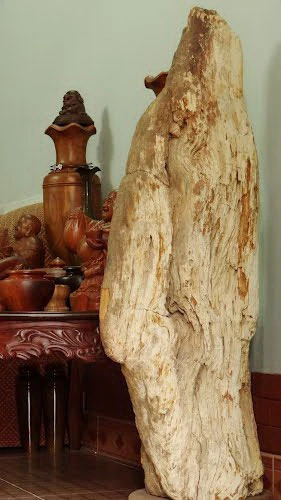 Muốn lượm cục đá cũng phải trình, xin!? ảnh 1