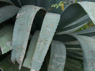 “Dịch” vẽ bậy lên di tích ảnh 2 “Dịch” vẽ bậy lên di tích ảnh 2