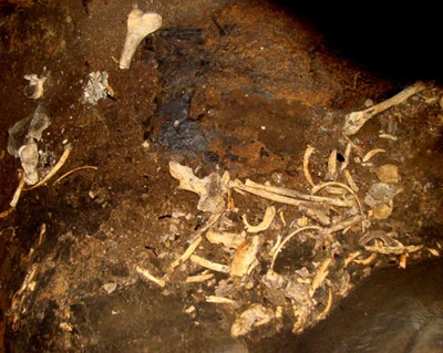 Hãi hùng đống xương trong khe đá ảnh 5