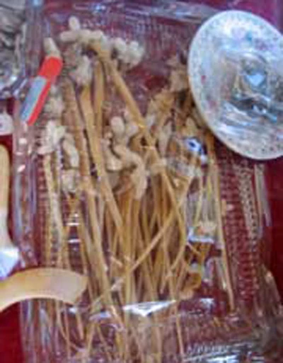 Độc chiêu lừa trong thế giới mãng xà ảnh 1