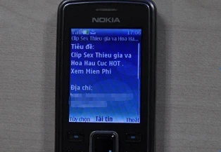 Thuê bao di động "phát điên" vì tin nhắn sex ảnh 2