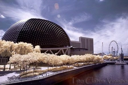 Độ tương phản màu đẹp lạ qua ảnh hồng ngoại ảnh 20