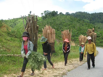 Nữ sinh bỏ học lấy chồng, nhà trường bất lực ảnh 5