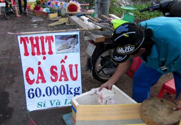 Bán thịt cá sấu không rõ nguồn gốc trên đường phố ảnh 1