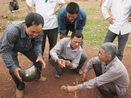 Sôi động chợ trâu bò Nam Nghĩa ảnh 6