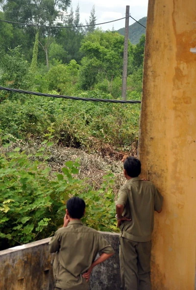 Hủy toàn bộ chuyến bay đến Phú Bài vì “bò tót" ảnh 3