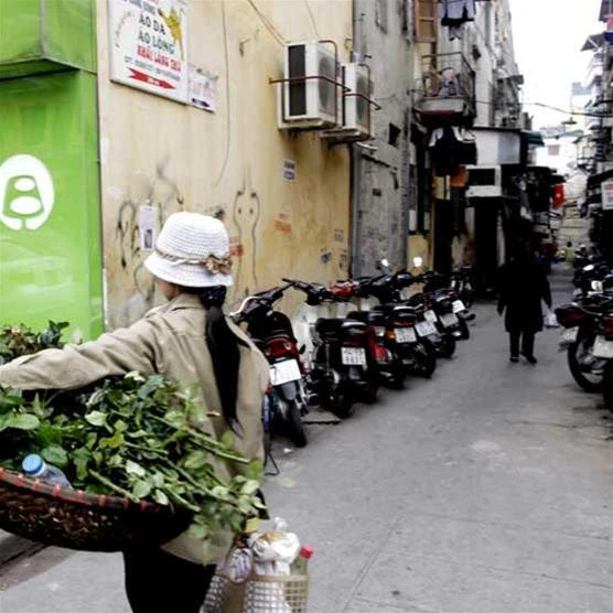 Một góc ngõ Tạm Thương. Một góc ngõ Tạm Thương.