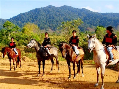 Ngựa triệu đô trên M’Đrăk ảnh 2