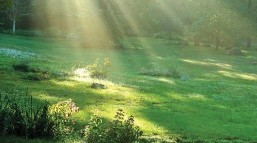 Nắng tháng chạp ảnh 1