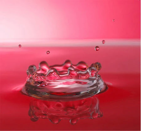 Thời gian ngưng đọng qua ảnh chụp tốc độ cao ảnh 23 Thời gian ngưng đọng qua ảnh chụp tốc độ cao ảnh 23