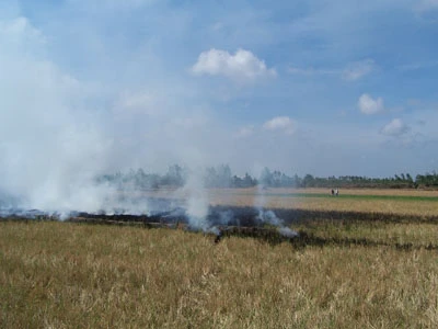 Nhớ quê trong khói đốt đồng ảnh 2