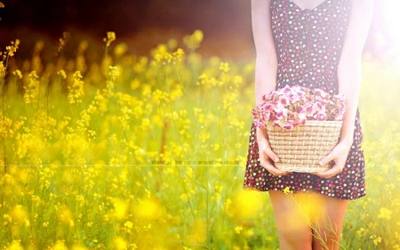 Những bông hoa tuyệt đẹp trên desktop mừng ngày Phụ nữ Việt Nam ảnh 4