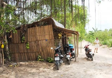 Người của rừng già ảnh 3