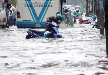 Lụt Bangkok: Lời cảnh báo cho TP.HCM - Bài 1: Giống nhau như Bangkok "em" ảnh 3
