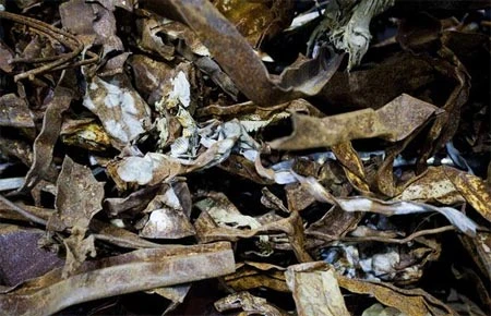 Trưng bày các mảnh vỡ trong vụ sập tòa tháp đôi tại Mỹ ảnh 8