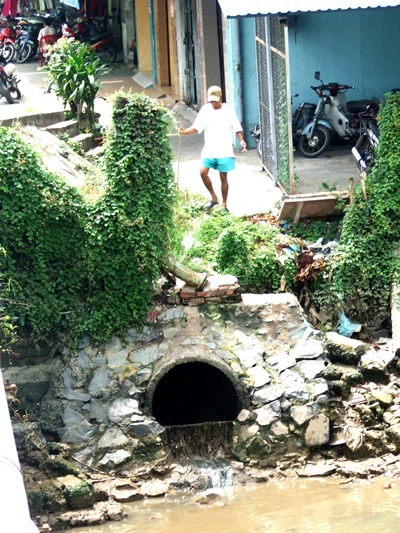 Sông Tiền quá bẩn! ảnh 3
