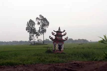 Thực hư việc tìm được mộ Trạng Trình ảnh 1 Thực hư việc tìm được mộ Trạng Trình ảnh 1