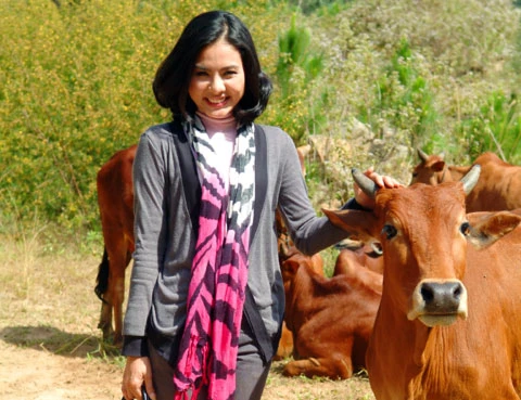 Vân Trang làm dáng giữa... đàn bò ảnh 3