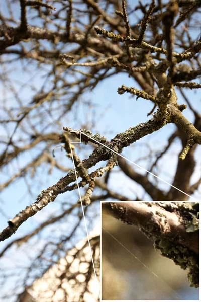 Ảnh chụp từ ống kính Nikon siêu rộng ảnh 3