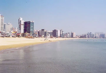 Không có gì là huyền thoại: Tuổi thơ cơ cực ảnh 2