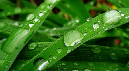 Ấn tượng về sự tinh khiết qua bộ ảnh chụp sương sớm ảnh 20